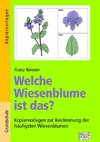 Welche Wiesenblume ist das?