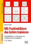 Mit Punktebildern das Gehirn trainieren - 1./2. Klasse