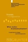 What makes Grammaticalization?