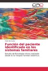 Función del paciente identificado en los sistemas familiares