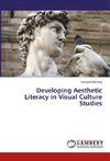 Developing Aesthetic Literacy in Visual Culture Studies