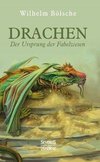 Drachen - Der Ursprung der Fabelwesen