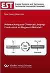 Untersuchung von Chemical-Looping-Combustion im Megawatt-Maßstab