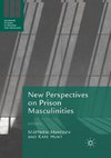 New Perspectives on Prison Masculinities