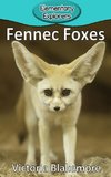 Fennec Foxes