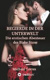 Begierde in der Unterwelt - Die erotischen Abenteuer des Blake Stone