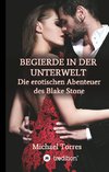 Begierde in der Unterwelt - Die erotischen Abenteuer des Blake Stone