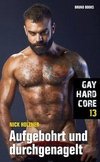 Gay Hardcore 13: Aufgebohrt und durchgenagelt