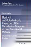 Electrical and Optoelectronic Properties of the Nanodevices Composed of Two-Dimensional Materials