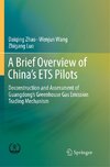 A Brief Overview of China's ETS Pilots
