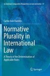 Normative Plurality in International Law