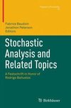 Stochastic Analysis and Related Topics