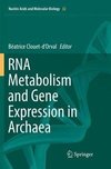 RNA Metabolism and Gene Expression in Archaea