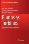 Pumps as Turbines