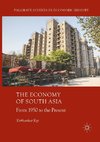 The Economy of South Asia