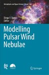 Modelling Pulsar Wind Nebulae