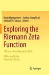 Exploring the Riemann Zeta Function