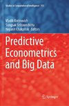 Predictive Econometrics and Big Data