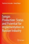 Syngas Production: Status and Potential for Implementation in Russian Industry