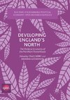 Developing England's North