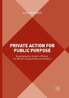 Private Action for Public Purpose