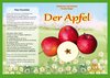 Naturkamishibai - Der Apfel