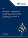 Exploitation of Pummelo (Citrus Maxima (Burm.) Merrill) Through Breeding, Ploidy Manipulation, and Interstocks for Improvement of Cultivated Citrus