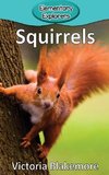 Squirrels