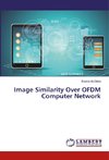 Image Similarity Over OFDM Computer Network