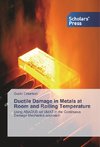 Ductile Damage in Metals at Room and Rolling Temperature