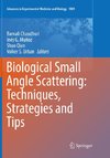 Biological Small Angle Scattering: Techniques, Strategies and Tips