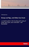 Sheep and Pigs, and Other Live Stock