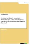 Drohnen im Alltag. Systematische Potentialanalyse sowie Herleitung von Handlungsempfehlungen für Politik und Wirtschaft