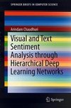 Visual and Text Sentiment Analysis through Hierarchical Deep Learning Networks