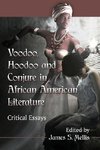 Voodoo, Hoodoo and Conjure in African American Literature