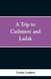 A Trip to Cashmere and Ladak