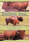 Buffalo Run