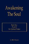 Awakening The Soul