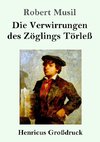 Die Verwirrungen des Zöglings Törleß (Großdruck)