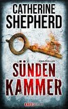 Sündenkammer: Thriller