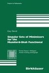 Singular Sets of Minimizers for the Mumford-Shah Functional