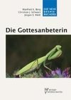 Die Gottesanbeterin