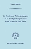 Les fondements phénoménologiques de la sociologie compréhensive: Alfred Schutz et Max Weber