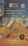 A Brief Introduction to Egyptian Coins and Currency