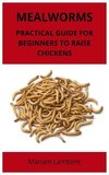 Mealworms: Practical guide for beginners to raise chickens