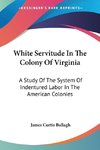 White Servitude In The Colony Of Virginia