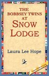 The Bobbsey Twins at Snow Lodge