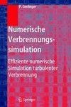 Numerische Verbrennungssimulation