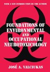 Foundations of Environmental and Occupational Neurotoxicology