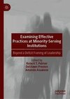 Examining Effective Practices at Minority-Serving Institutions